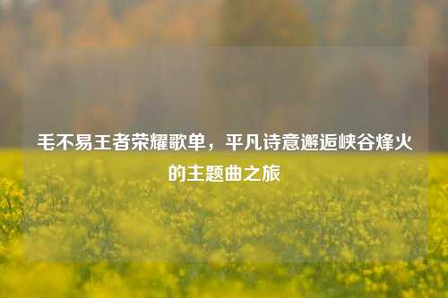 毛不易王者荣耀歌单，平凡诗意邂逅峡谷烽火的主题曲之旅
