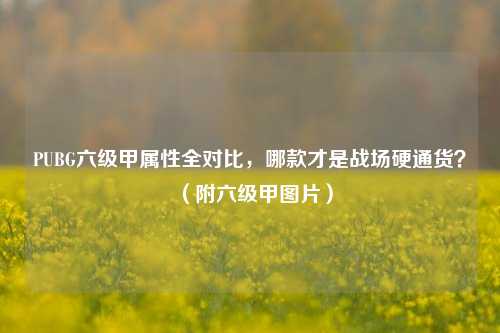 PUBG六级甲属性全对比，哪款才是战场硬通货？（附六级甲图片）