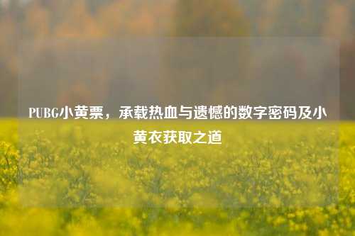 PUBG小黄票,承载热血与遗憾的数字密码及小黄衣获取之道