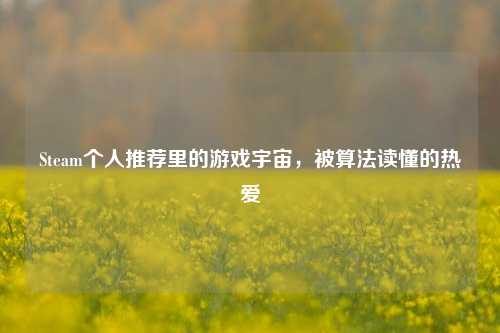 Steam个人推荐里的游戏宇宙，被算法读懂的热爱