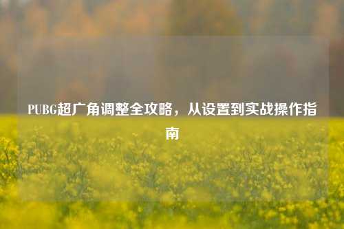 PUBG超广角调整全攻略，从设置到实战操作指南