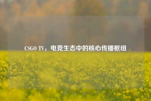 CSGO TV，电竞生态中的核心传播枢纽
