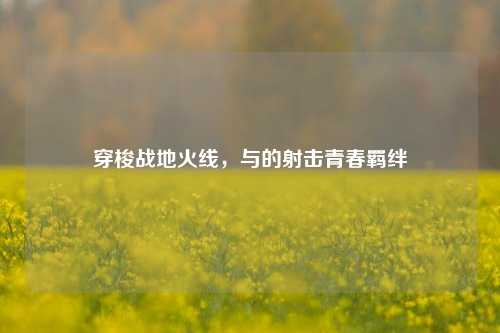 穿梭战地火线，与的射击青春羁绊