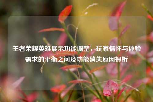 王者荣耀英雄展示功能调整，玩家情怀与体验需求的平衡之问及功能消失原因探析