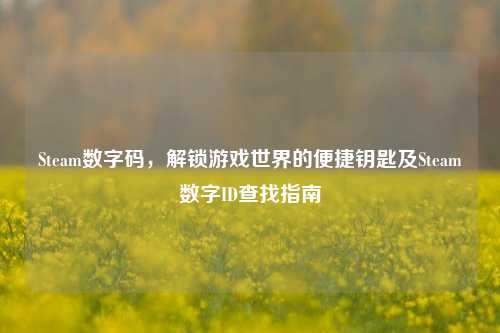 Steam数字码，解锁游戏世界的便捷钥匙及Steam数字ID查找指南