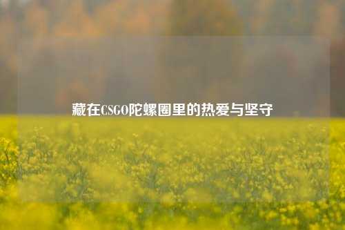 藏在CSGO陀螺圈里的热爱与坚守