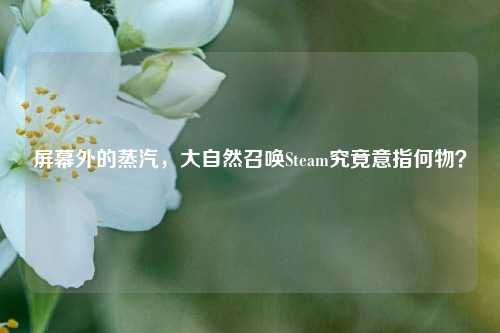 屏幕外的蒸汽，大自然召唤Steam究竟意指何物？