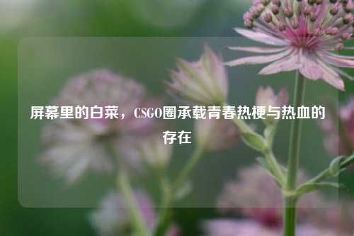 屏幕里的白菜，CSGO圈承载青春热梗与热血的存在