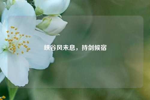 峡谷风未息，持剑候宿