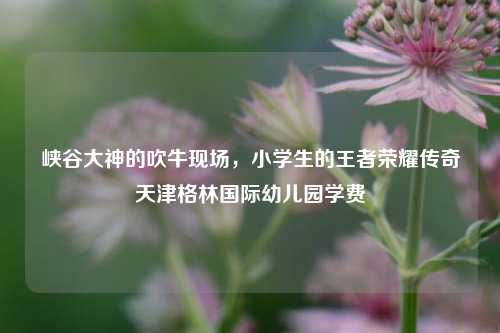 峡谷大神的吹牛现场，小学生的王者荣耀传奇天津格林国际幼儿园学费