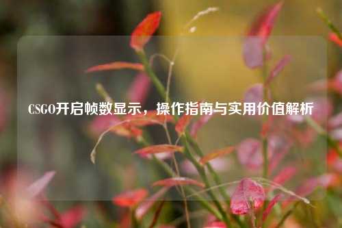 CSGO开启帧数显示，操作指南与实用价值解析