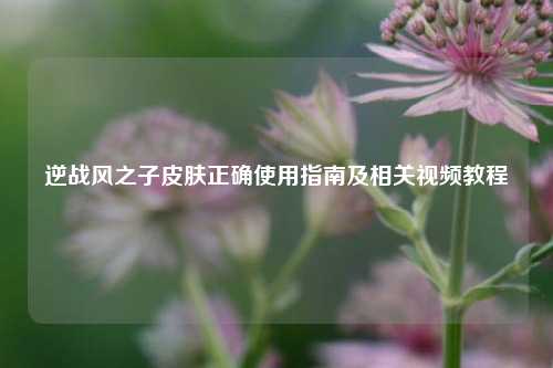 逆战风之子皮肤正确使用指南及相关视频教程