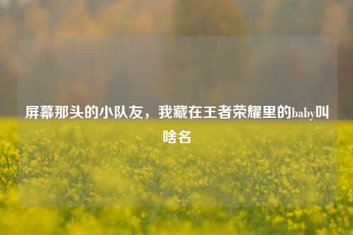 屏幕那头的小队友，我藏在王者荣耀里的baby叫啥名