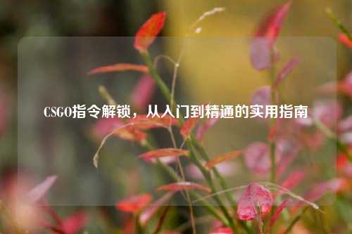 CSGO指令解锁，从入门到精通的实用指南