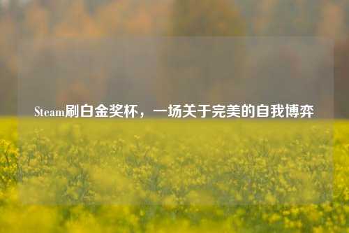 Steam刷白金奖杯，一场关于完美的自我博弈