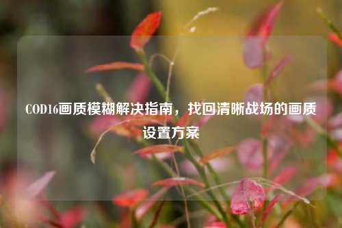 COD16画质模糊解决指南，找回清晰战场的画质设置方案