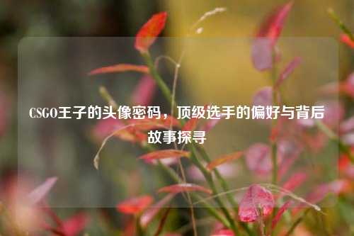 CSGO王子的头像密码，顶级选手的偏好与背后故事探寻