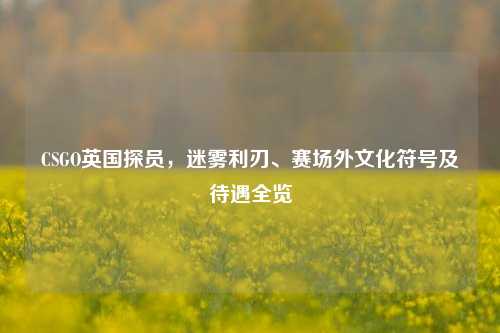 CSGO英国探员，迷雾利刃、赛场外文化符号及待遇全览