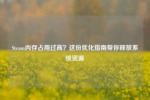 Steam内存占用过高？这份优化指南帮你释放系统资源