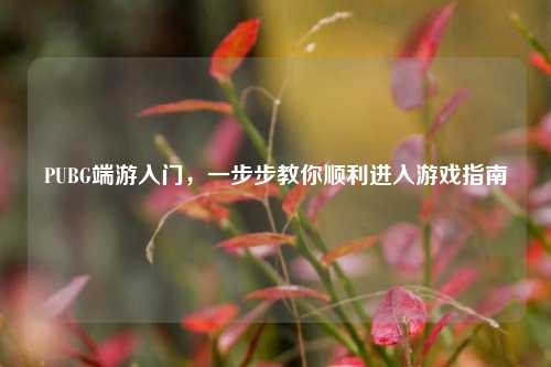 PUBG端游入门，一步步教你顺利进入游戏指南