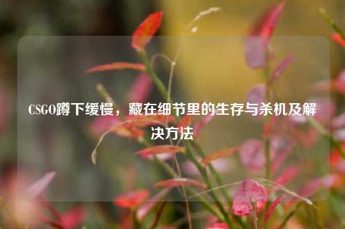 CSGO蹲下缓慢，藏在细节里的生存与杀机及解决方法