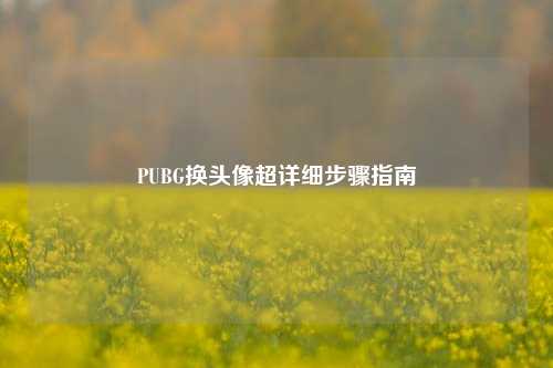 PUBG换头像超详细步骤指南