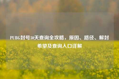 PUBG封号30天查询全攻略,原因、路径、解封希望及查询入口详解