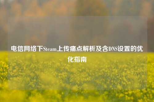 电信网络下Steam上传痛点解析及含DNS设置的优化指南