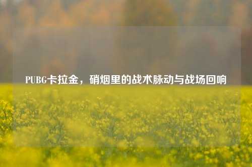 PUBG卡拉金,硝烟里的战术脉动与战场回响