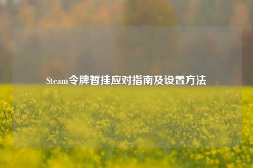 Steam令牌暂挂应对指南及设置方法