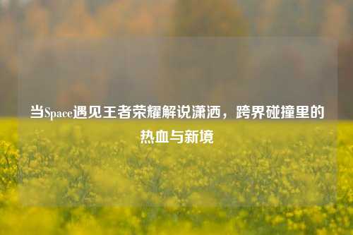 当Space遇见王者荣耀解说潇洒，跨界碰撞里的热血与新境