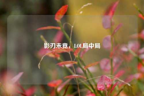 影刃未竟，LOL局中局