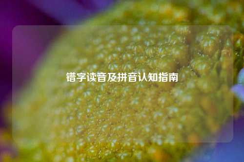 镨字读音及拼音认知指南
