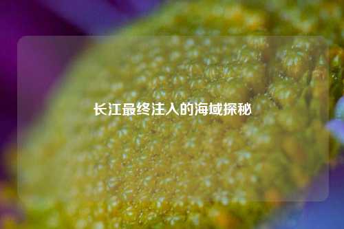 长江最终注入的海域探秘