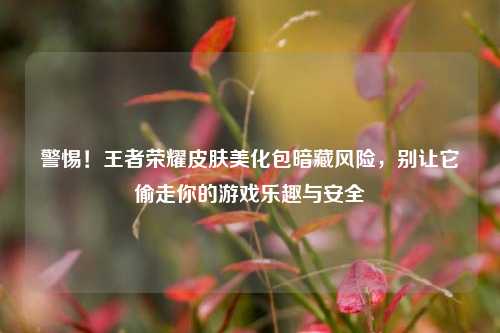 警惕！王者荣耀皮肤美化包暗藏风险，别让它偷走你的游戏乐趣与安全
