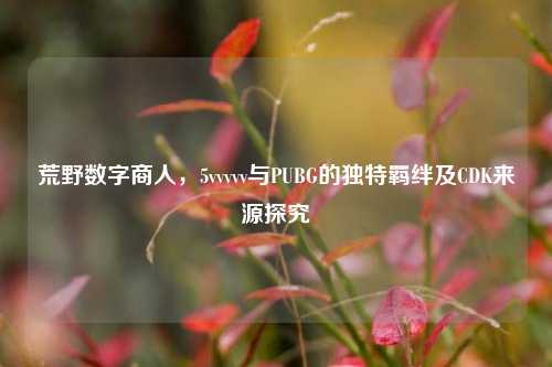 荒野数字商人，5vvvvv与PUBG的独特羁绊及CDK来源探究