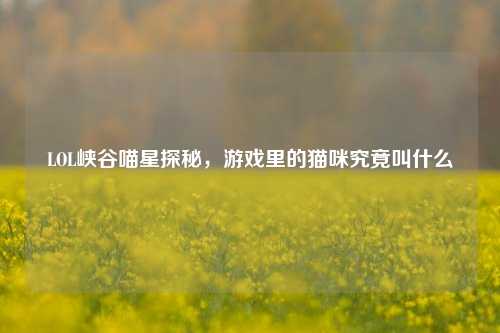 LOL峡谷喵星探秘，游戏里的猫咪究竟叫什么