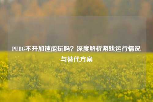 PUBG不开加速能玩吗？深度解析游戏运行情况与替代方案