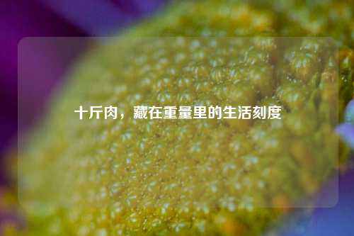 十斤肉，藏在重量里的生活刻度