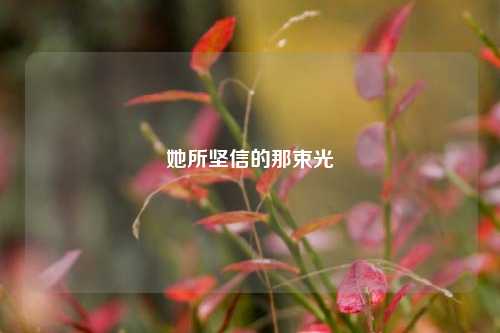 她所坚信的那束光