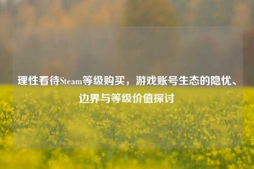 理性看待Steam等级购买，游戏账号生态的隐忧、边界与等级价值探讨