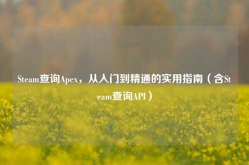 Steam查询Apex，从入门到精通的实用指南（含Steam查询API）