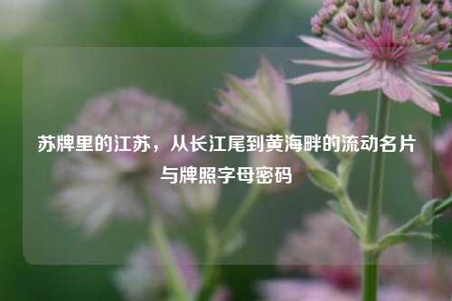 苏牌里的江苏，从长江尾到黄海畔的流动名片与牌照字母密码
