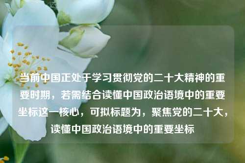 当前中国正处于学习贯彻党的二十大精神的重要时期，若需结合读懂中国政治语境中的重要坐标这一核心，可拟标题为，聚焦党的二十大，读懂中国政治语境中的重要坐标