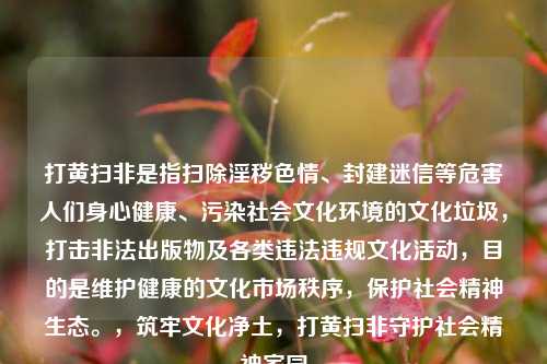 打黄扫非是指扫除淫秽色情、封建迷信等危害人们身心健康、污染社会文化环境的文化垃圾，打击非法出版物及各类违法违规文化活动，目的是维护健康的文化市场秩序，保护社会精神生态。，筑牢文化净土，打黄扫非守护社会精神家园