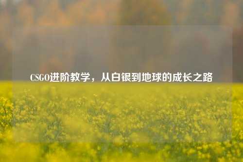 CSGO进阶教学，从白银到地球的成长之路