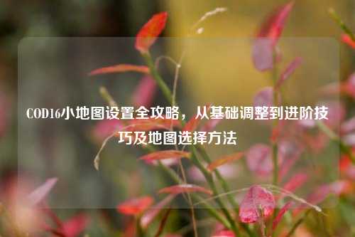 COD16小地图设置全攻略，从基础调整到进阶技巧及地图选择方法