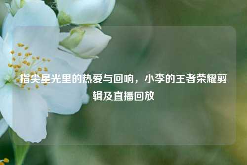 指尖星光里的热爱与回响，小李的王者荣耀剪辑及直播回放