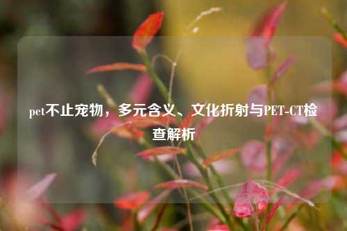 pet不止宠物，多元含义、文化折射与PET-CT检查解析