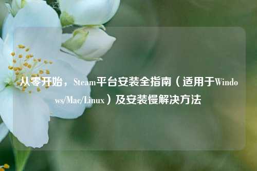 从零开始，Steam平台安装全指南（适用于Windows/Mac/Linux）及安装慢解决方法